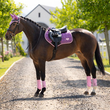 IT08284 LeMieux Loire Classic