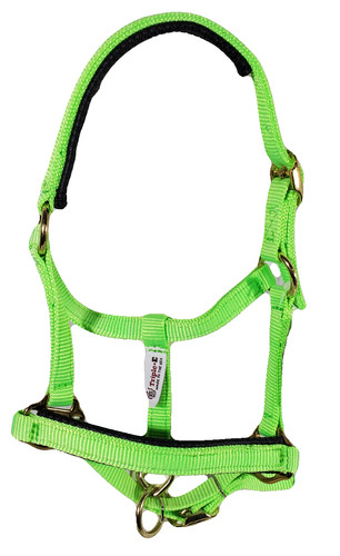 Miniature horse nylon - miniature, halter