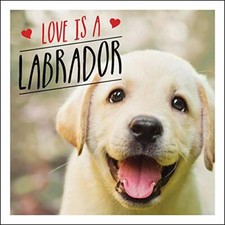 Love is a Labrador: A