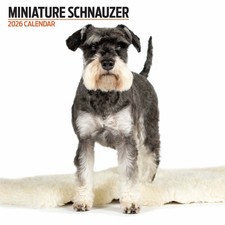 Miniature Schnauzer 2026