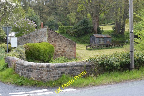 Photo 12x8 stone - 12x8,
