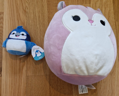 Squishmallows alina the - x2:,