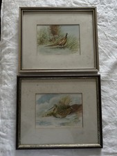 2 Vintage, Signed, Watercolour Paintings Of ‘ Great Snipe & Pheasant ‘