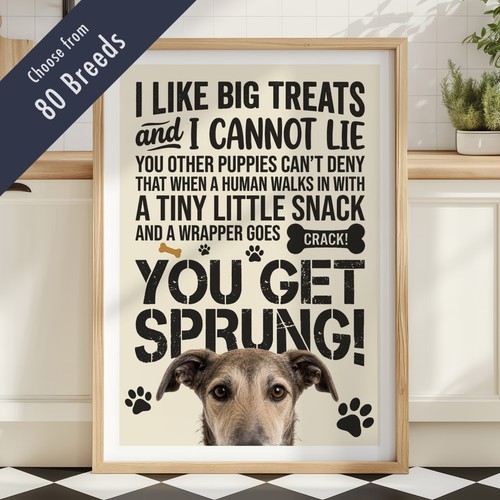 Funny dog treats - funny,
