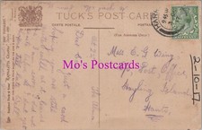 Genealogy Postcard - Wing