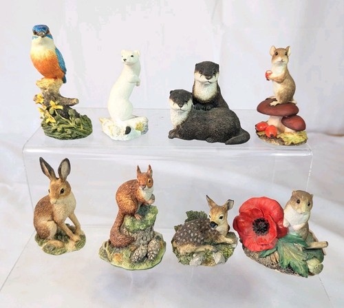 Border fine arts - arts, wildlife