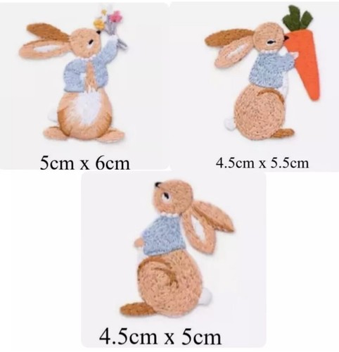 Peter rabbit flower carrot - flower,