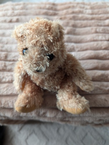 Funtastic scruffy small teddy - funtastic,