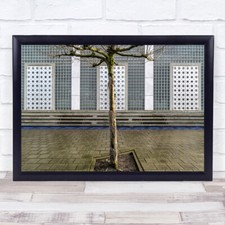 Leiden Tree Netherlands Willen De Zwijgerlaan Mosque Facade Wall Art Print
