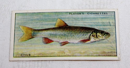 Vintage 1933 john - 1933,