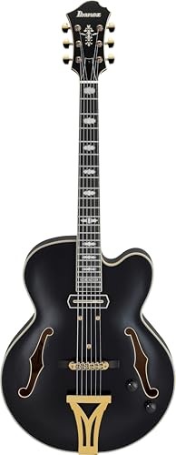 Ibanez pat metheny - pat,