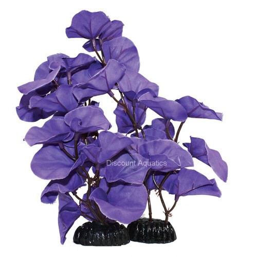 Lily purple silk aquarium - ,