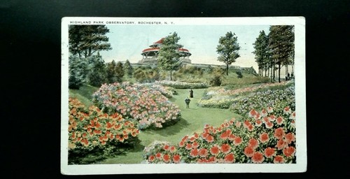 Vintage highland park - vintage,