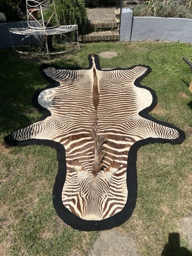 Plains zebra hide - plains,