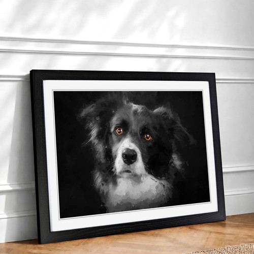 Brown eyed border collie dog - brown,