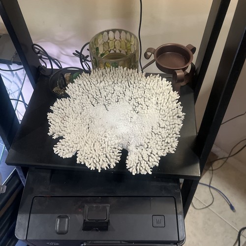 Large hyacinth table coral - large,