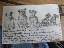 Embossed Pug Dachsund Terrier PUPPY Dogs Undivided Postcard VICTORIA STAMP 1901