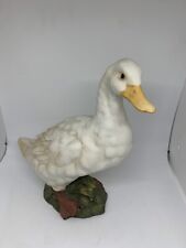 The Leonardo Collection