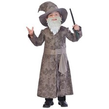 Boys Wise Wizard Fancy Dress