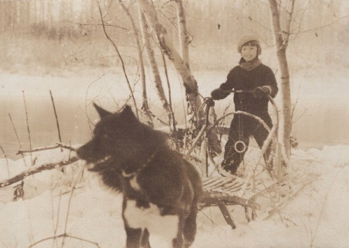 Alaska child dog sled - alaska,