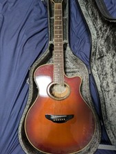 Electric Acoustic Guitar