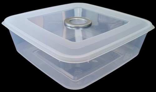 Invertebrate large square - invertebrate,