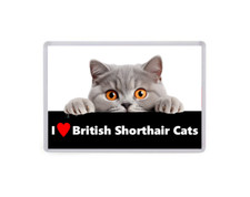 I Love British Shorthair Cats - Fridge Magnet - Large - Pet Cat Animals Gift