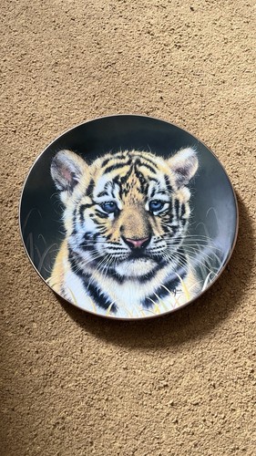 Princeton gallery tiger cubs - gallery,