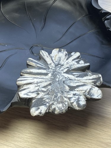 Chrysanthemum stone dish - chrysanthemum,