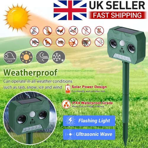 Solar power cat repeller - cat,