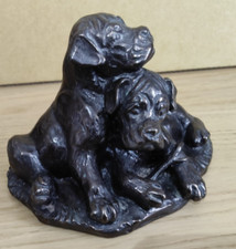 Vintage Boxer Dog Puppies