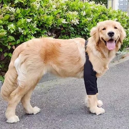 Elbow sleeves dog - sleeves,