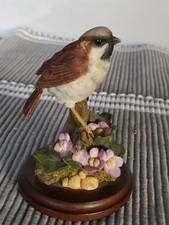 Country Artists SPARROW with