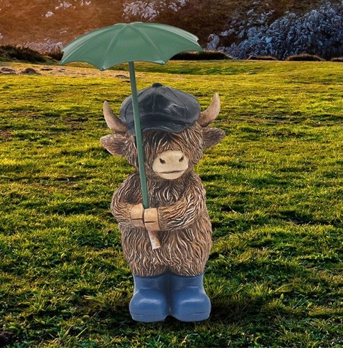 Hughie highland cow rainy days - highland,