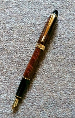Aurora fountain pen - aurora,