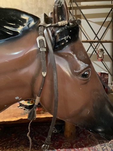 bridle
