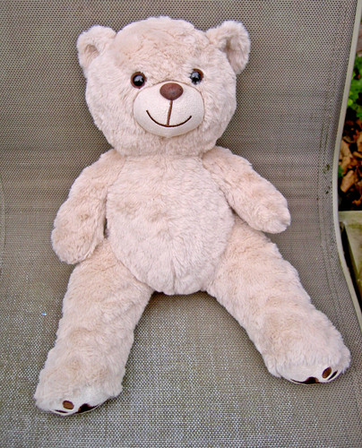 Teddy tastic soft - plush, bear
