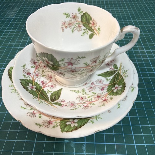 Vintage royal stafford - vintage, trio