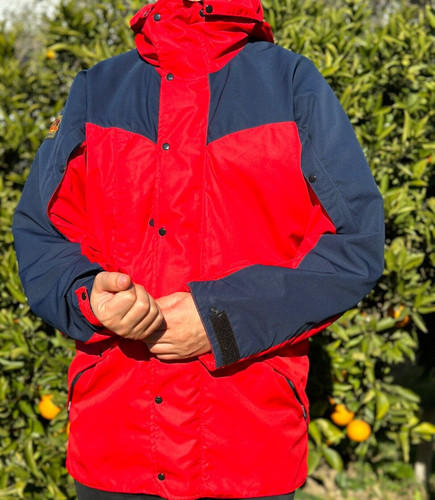 Paramo halcon pajaro - halcon,