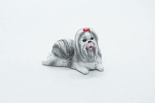 White yorkshire terrier puppy