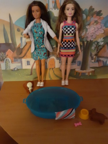 Barbie doll bundle - doll,