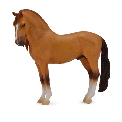Collecta campolina stallion - campolina,