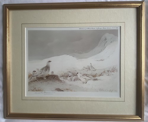 Archibald thorburn - thorburn, (1860-1935)