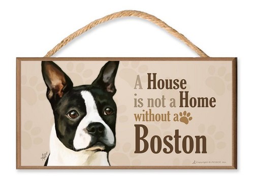Boston terrier house is - boston, "a