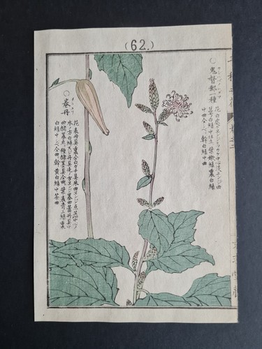 Antique 1890 japanese - antique,