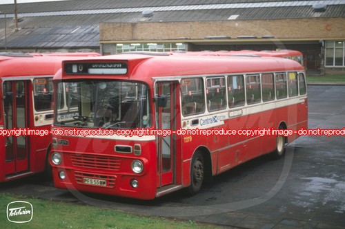 Bus photo central - bus,