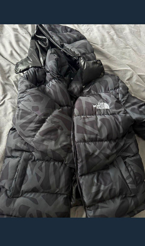 The north face nuptse 700 - the, down