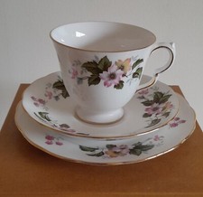 Queen Anne Bone China Trios