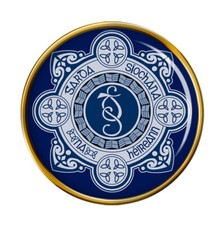 Garda Síochána Pin Badge