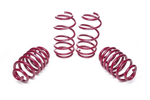 Vogtland lowering springs for - vogtland,